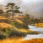 Highlands in the Autumn