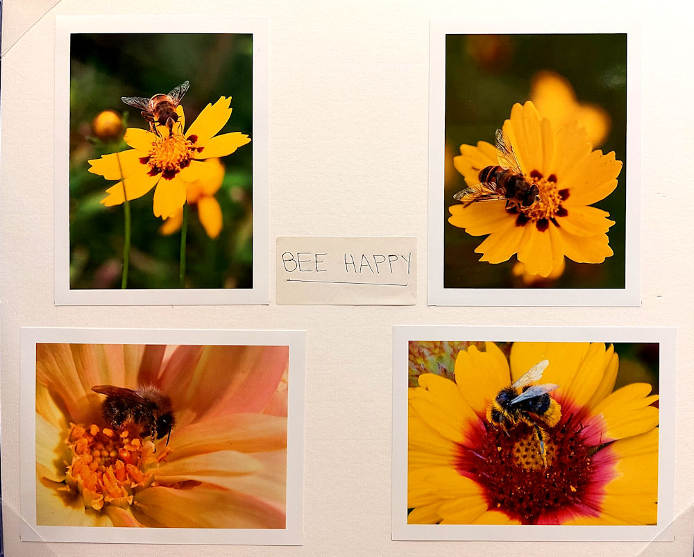 Bee-Happy by John Buttress