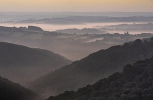 Misty Sunrise