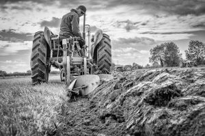 we plough the fields
