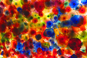 Petals of Glass and Fire