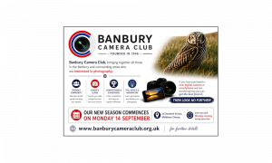 BCC New Season