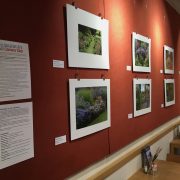Cafe Red Photo 3