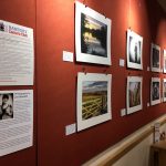 Exhibition at Cafe Red by Zoe Meredith