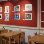 Barry Boswell Wildlife Photography