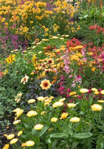 Hot Border By John Buttress