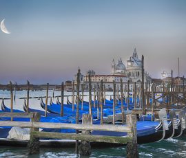 Venice at Dawn by Diane Berridge