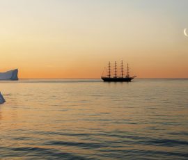 The Dawn Voyage Of Discovery By Diane Berridge