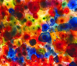 Petals Of Glass And Fire by Diane Berridge