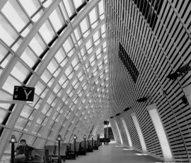 Symmetry and Solitude by Diane Berridge